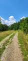 5199 Burkett Chapel Rd - Photo 34
