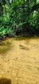 5199 Burkett Chapel Rd - Photo 41