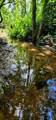 5199 Burkett Chapel Rd - Photo 47