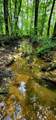 5199 Burkett Chapel Rd - Photo 48