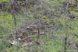 0 Owl Hollow Rd - Photo 33