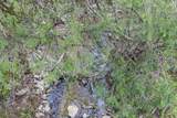 0 Owl Hollow Rd - Photo 34