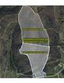 2203 Stones River Rd - Photo 11