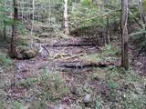 2203 Stones River Rd - Photo 44