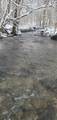 2203 Stones River Rd - Photo 47