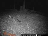 2203 Stones River Rd - Photo 52
