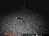 2203 Stones River Rd - Photo 53