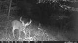 2203 Stones River Rd - Photo 55