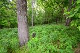 280 Wade Ln - Photo 44