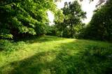 280 Wade Ln - Photo 46