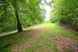 280 Wade Ln - Photo 49