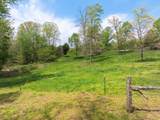 790 Roan Creek Levee Rd - Photo 28