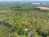 790 Roan Creek Levee Rd - Photo 46