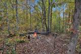 4054 Tracy Ln - Photo 34