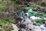 899 Messenger Rd - Photo 52