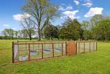 4209 Pyles Rd - Photo 51