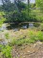 304 Fuss Hollow Rd - Photo 8