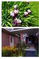 207 Dunlap St - Photo 78
