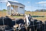3952 Chapel Hill Rd - Photo 36