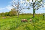 6808 Highway 127 - Photo 43