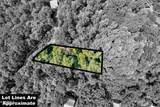 661 Battle Top Rd - Photo 7