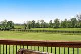 1253 Carters Creek Pike - Photo 36