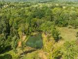 9221 Old Highway 46 - Photo 60