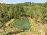 9221 Old Highway 46 - Photo 61