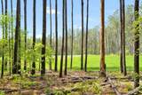 1699 Boyles Mill Road - Photo 83