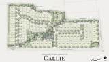 6308 Callie Ln - Photo 1