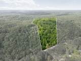 5621 Parker Branch Trail - Photo 3