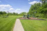 6997 Calderwood Dr - Photo 44