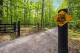1590 Jackson Pt Rd - Photo 47