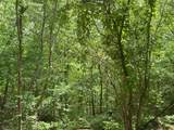 159 Mindy Dr - Photo 45
