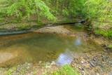 198 Robinson Hollow Rd - Photo 85