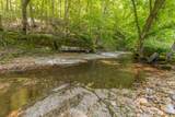 198 Robinson Hollow Rd - Photo 86