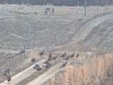 198 Robinson Hollow Rd - Photo 92