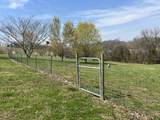 1224 Whiteside Hill Rd - Photo 33