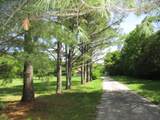 1321 Pinhook Rd - Photo 3