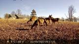 232 Rayann Dr - Photo 69