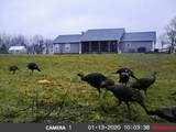 232 Rayann Dr - Photo 73