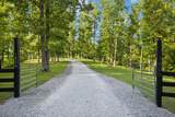1606 Nosegay Rd - Photo 4