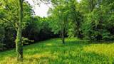 0 Hwy 64 W - Photo 8