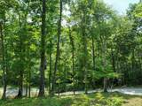 1288 Rogues Fork Rd - Photo 10