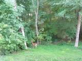 1438 Brighton Cir - Photo 62