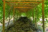 825 Durham Rd - Photo 15