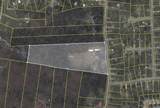 5742 Seminary Rd - Photo 3