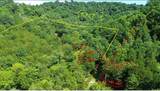 0 Hackett Hollow Ln - Photo 11