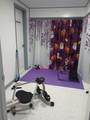416 Harsh Ln - Photo 30