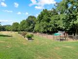 3441 Highway 231 - Photo 12